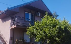 Apartment Andjela